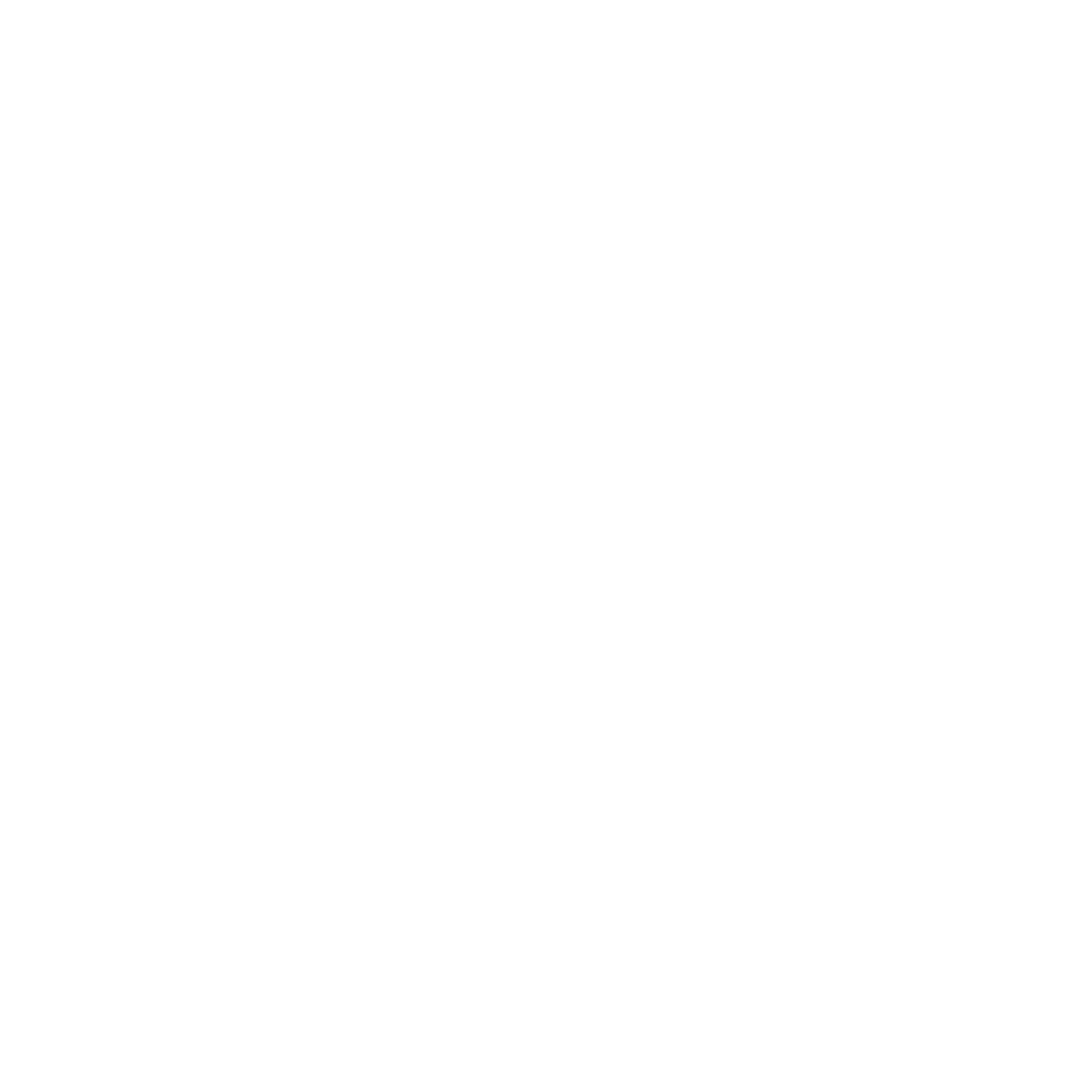Business values and priorities icon