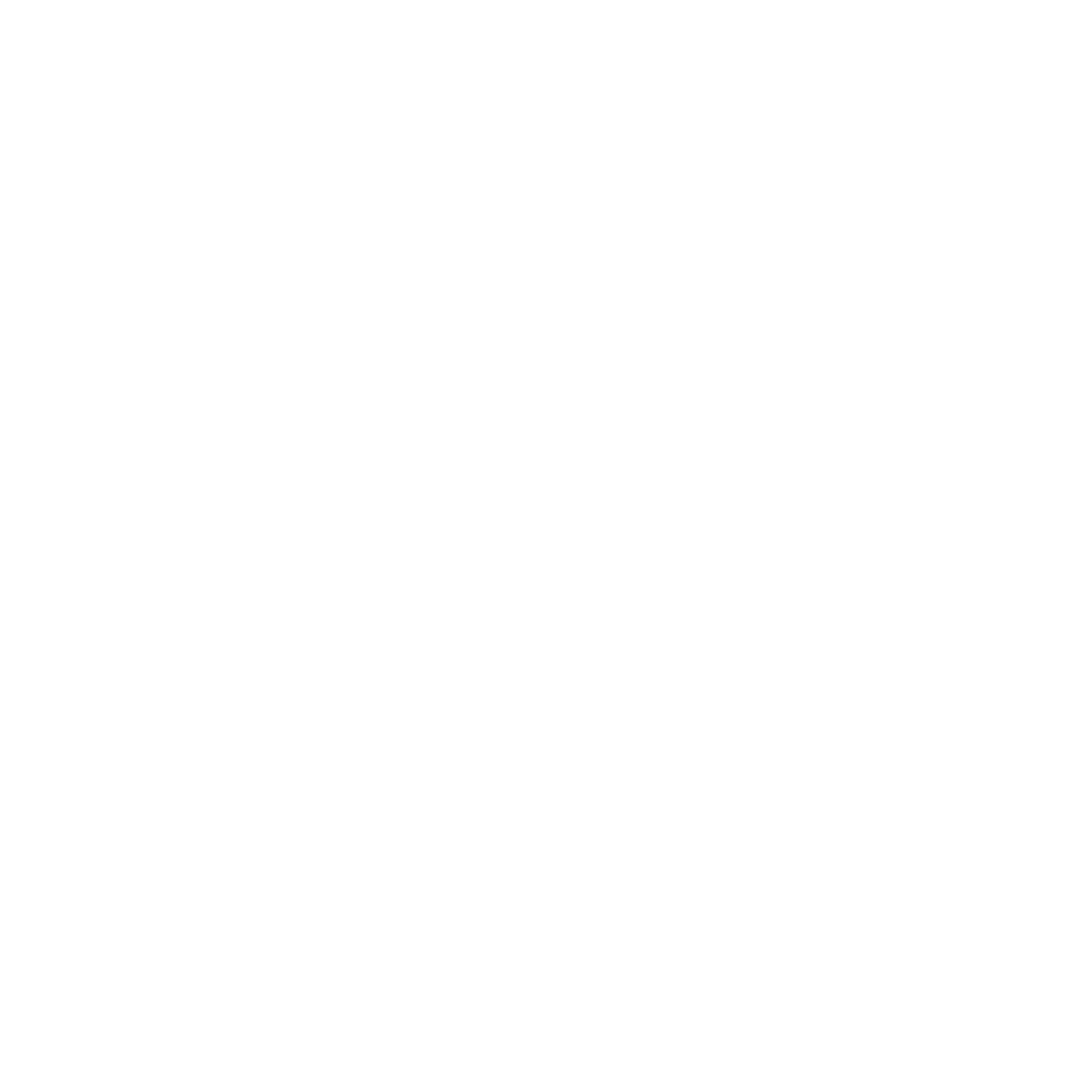Strategic priorities and goals icon